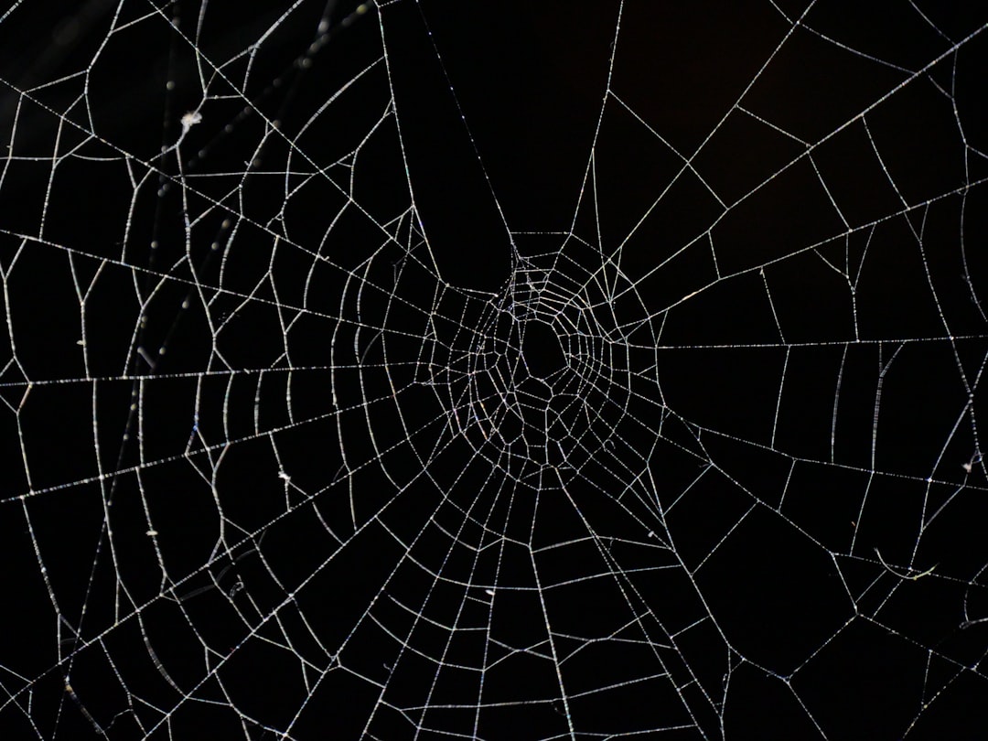 Photo halloween