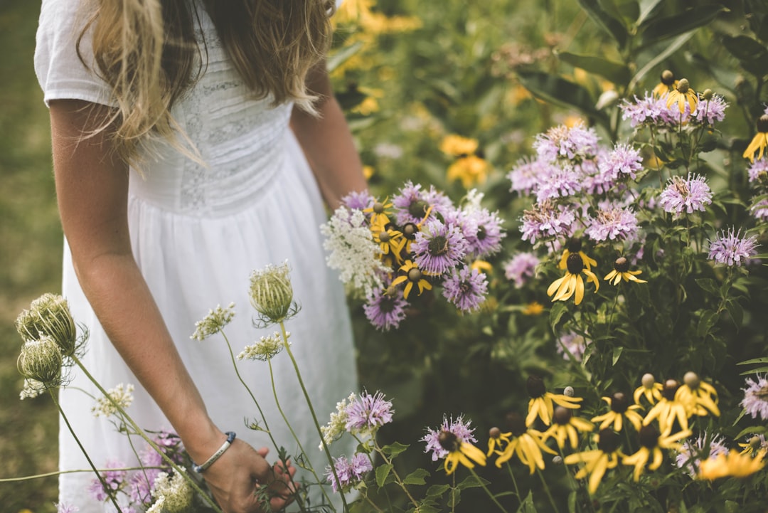 Photo cornflower dress