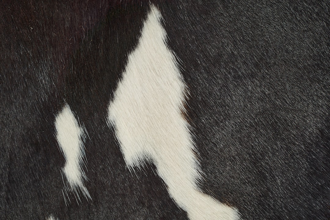 Photo fur vest